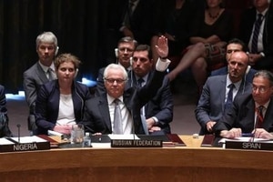 Уже 67 стран поддержали лишение России права вето в ООН