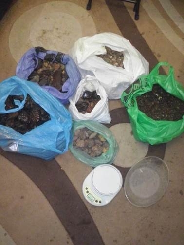 СБУ вилучила на Рівненщині бурштин на 1,15 млн грн (ФОТО)