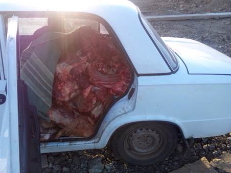 Ͳ Ͳ    Ͳ   ʲ  Ʋ