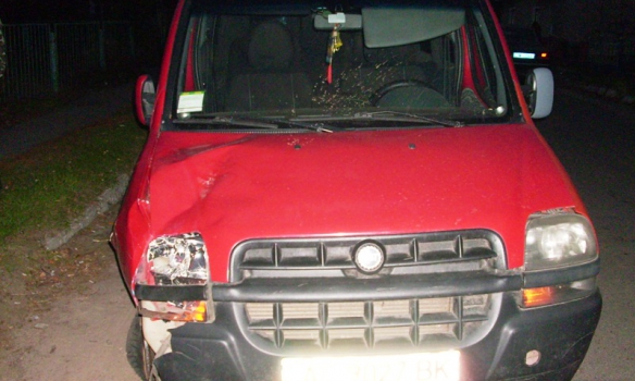 На Волині п’яний водій іномарки насмерть збив двох дітей