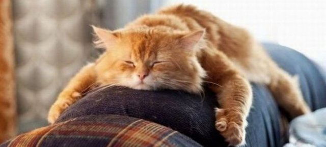 В Кабмине назвали даты официальных выходных в 2016