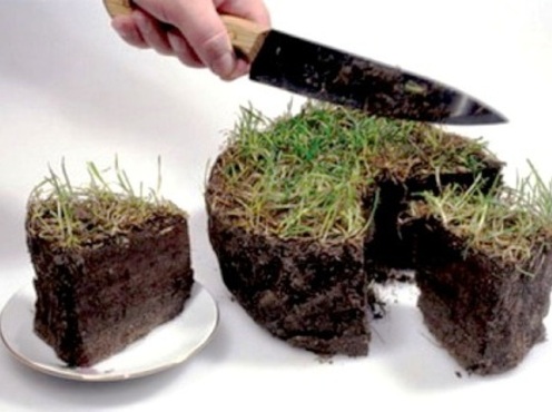 «Орлы Порошенко» хотят украсть землю