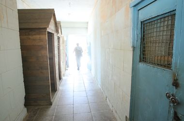 Что такое помилование и кому из осужденных в Украине оно достается