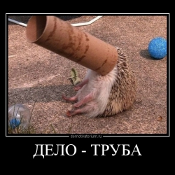 Украинские чиновники от НБУ живут в параллельной реальности говоря о курсе гривны