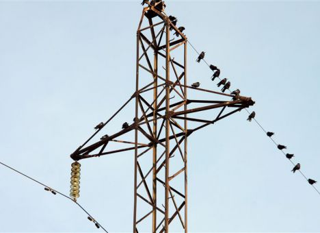 Крымские энергетики скрывают информацию от украинских коллег