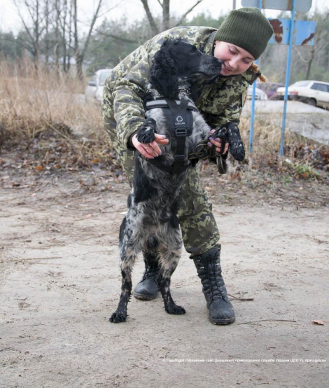 На Луганщині прикордонних службових собак одягнули в бронежилети