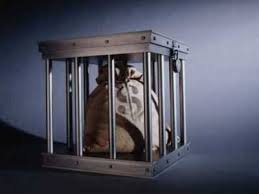 Автоматический арест денег на счетах - как это будет в Украине