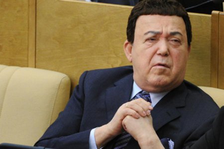 "Земля Кобзона в Киеве должна принадлежать украинцам" - депутат