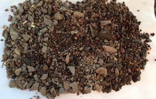 На Волині СБУ вилучила велику партію бурштину. ФОТО