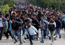 У Бельгії мігранти відсвяткували новий рік погромами і масовими злочинами