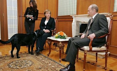 Путин объяснил, зачем выпустил лабрадора к боящейся собак Меркель