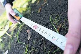 Кому продавали землю в Кіровограді