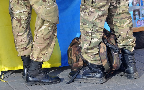 Прикус власти