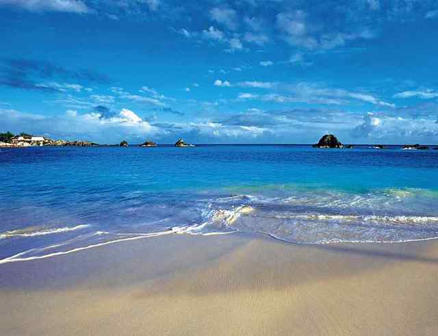 Мэра Затоки арестовали за "золотые земли" - залог составляет 5 млн гривен