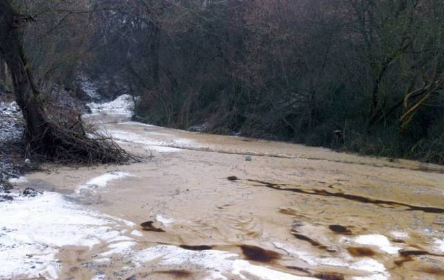 Поблизу Львова сталась екологічна катастрофа