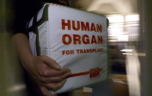 В Крыму без вести пропадают дети. Ходят слухи о бизнесе на органах