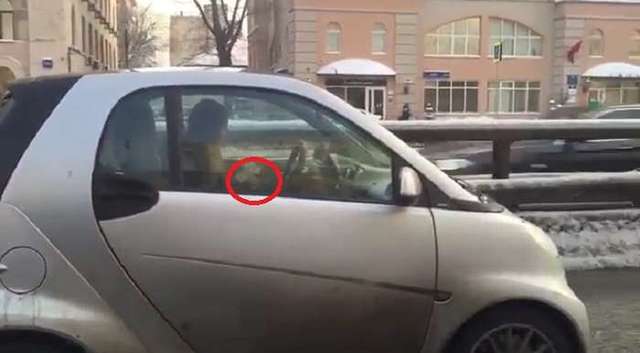 Россиянка управляла машиной не глядя на дорогу из-за вязания в руках (ВИДЕО)