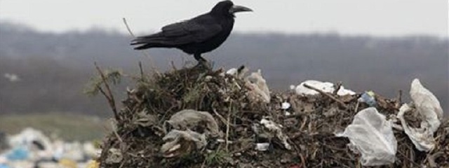 В Днепропетровске мусорный скандал на миллионы