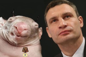 Мер Киева Виталий Кличко завел себе нового «друга»?