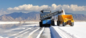 Как «Артемсоль» ловко обманывает государство: Расследование (ВИДЕО)