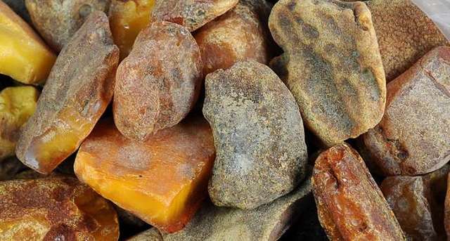 В сети появились шокирующие кадры незаконной добычи янтаря на Ривненщине (ВИДЕО)