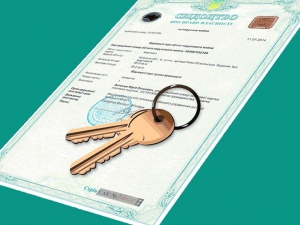 Как нас «натягивает» власть: необязательная срочность стоимостью в пять зарплат