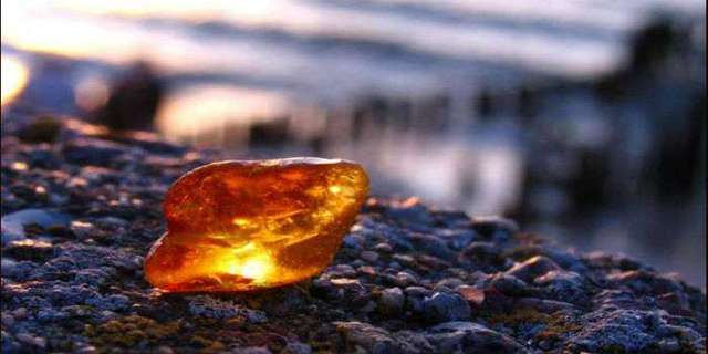 Ежегодная нелегальная добыча янтаря в Украине составляет до 300 т – Минэкологии