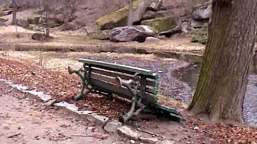 Полиция: вандалы разгромили исторический парк «Софиевка» в Умани