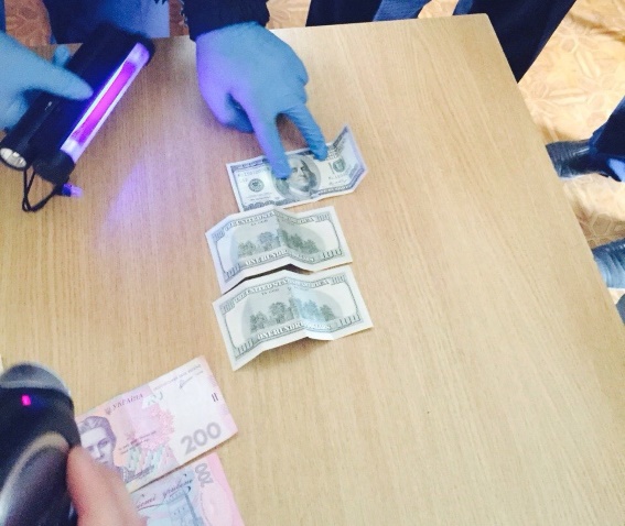 На Закарпатье замдиректора автошколы за 400 долл. пытался «продать» водительские права