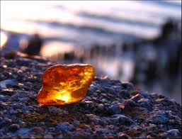 Катастрофа из-за добычи янтаря на Полесье: ’Тысячи человек. Сотни гектаров уничтоженного леса. Сюда нужно заводить механизированные бригады’