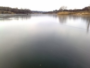 Заступник Райніна таємним розпорядженням продовжив оренду ставка партнерам іншого віце-губернатора