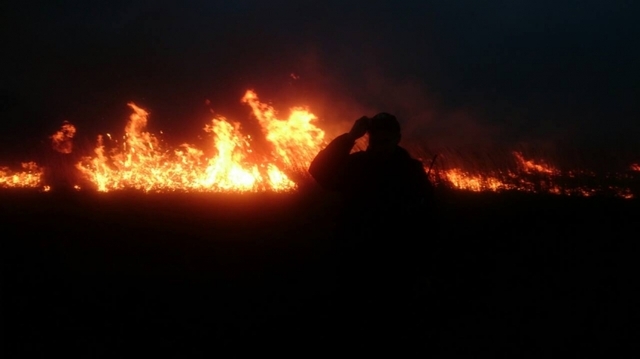 Біля «Арени-Львів» виникла масштабна пожежа