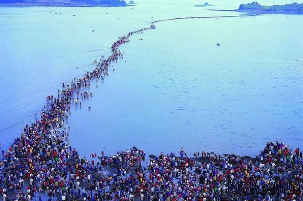 Крымчане спешно покидают полуостров!