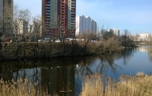 СТРАХплощадка: строительство жилого дома превратили в политическое шоу