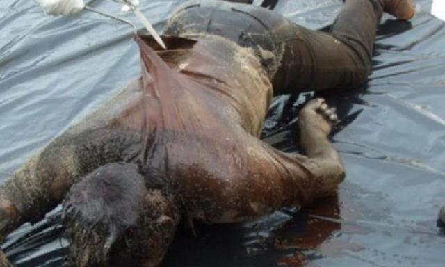 На Закарпатті у гірській річці виявили вже третій труп з проломленим черепом