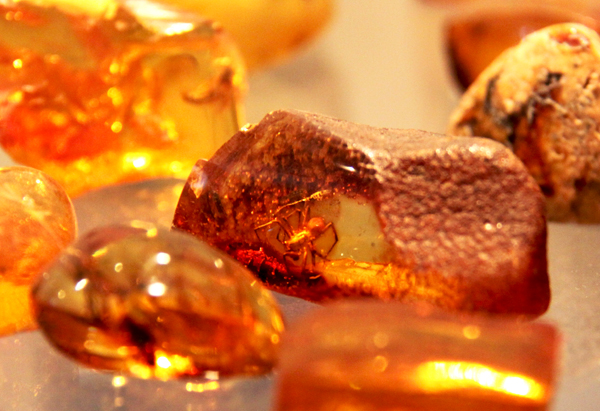 Ментовский янтарь