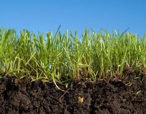 ЭЛИТНУЮ ЗЕМЛЮ ПОД КИЕВОМ ТОЛКАЛИ "НА СТОРОНУ"