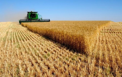 Забавная афера украинская правительства по продаже земли