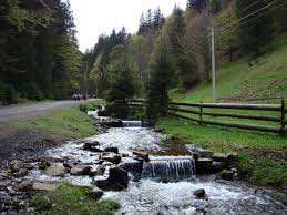 Закарпатская область потребовала автономии