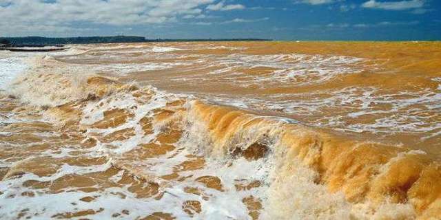В Крыму Черное море стало желтым