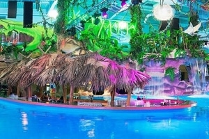 Аквапарк в Киеве закроют из-за гибели ребенка