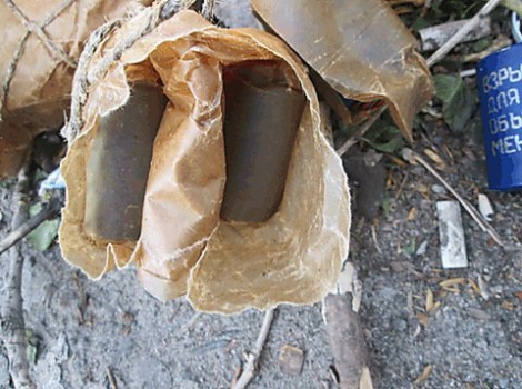 В Николаеве возле остановки нашли шумовые гранаты