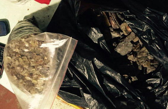 Ривненские правоохранители изъяли у скупщиков 20 кг янтаря