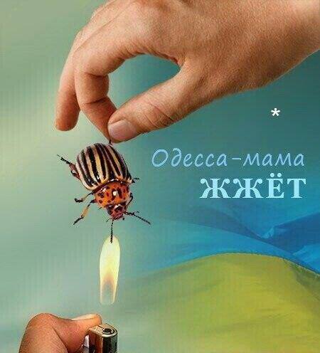 Срыв плана «Новороссия». В Одессе на 2 мая было готово все. Расследование