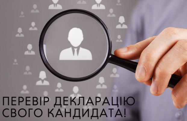 Доходы нардепов-общественников: квартиры Гопко и миллиард родителей Парасюка