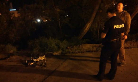 В центре Одессы, около Думской площади, полиция обнаружила семь бутылок с "коктейлями Молотова"