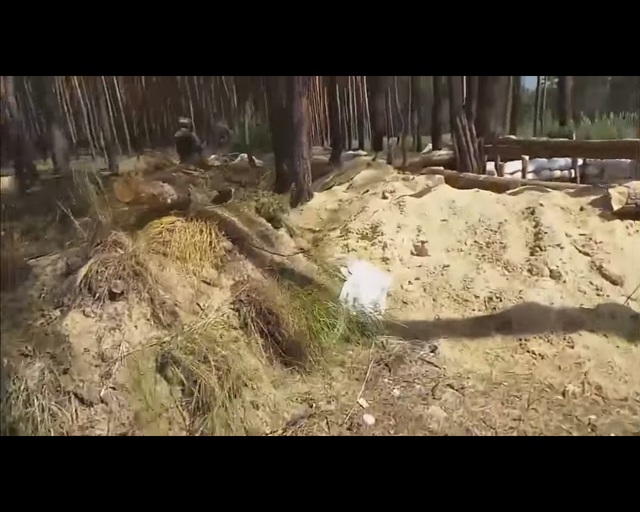 Силы АТО с жестоким боем захватили лагерь боевиков под Красным Лиманом