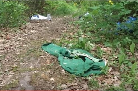 Жестокое убийство в Киеве: жертвой маньяка стала учительница