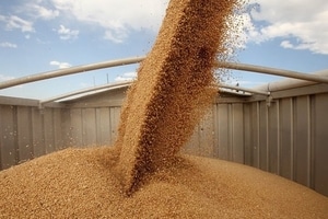 Два государственных аграрных фонда оказались "проданы" за голоса нардепов