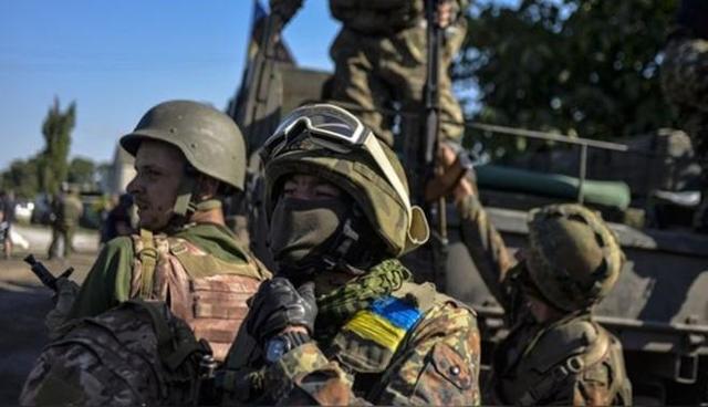 Леденящая душу находка: найдено море трупов боевиков на Донбассе